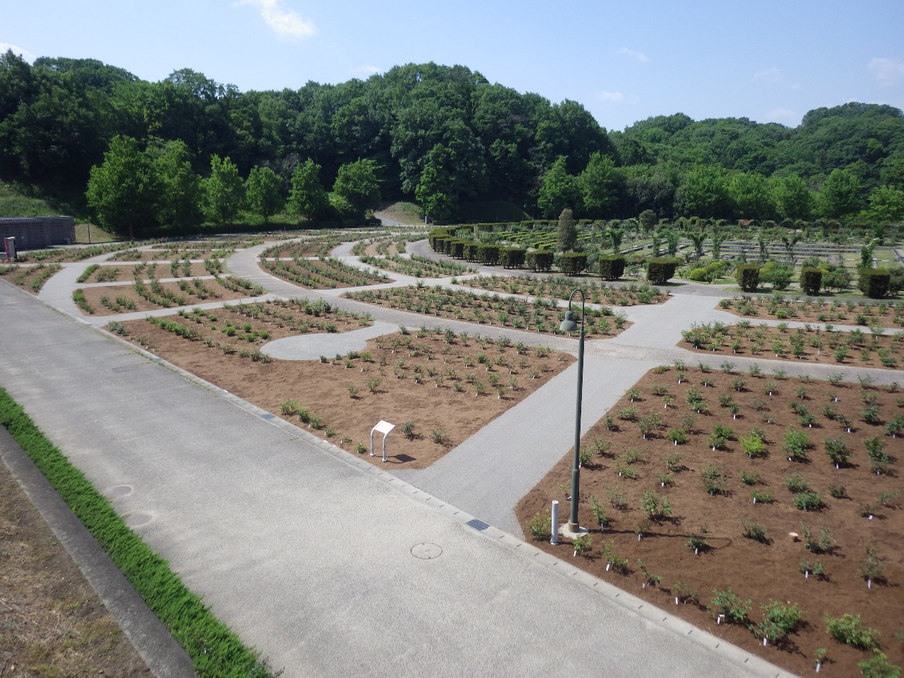 岐阜県 花フェスタ記念公園 バラ園土壌改良工事